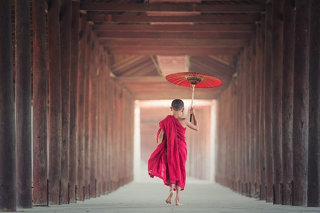 umbrella, buddhism, monk, monastery, asia, boy, buddhist, child, culture, myanmar, burma, religion, southeast asia, tradition, traditional, worship, hallway, walking, umbrella, buddhism, monk, monk, monk, monk, monk, asia, boy, boy, culture, myanmar, walking