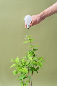 A hand holds a lightbulb above a young plant, symbolizing eco-friendly innovation.